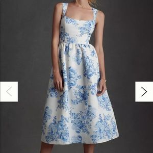 Sachin & Babi Blaine Dress